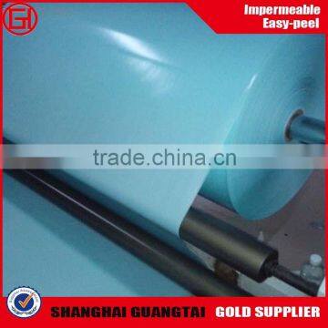 China Supplier Silicone Coated Blue Pet Release Film Supply