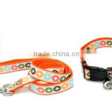 leash and collar set for dogs