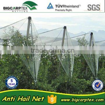 100grm Raschel Monofilament HDPE anti-hail net