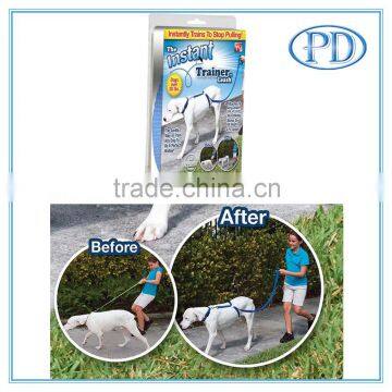 Dog Leash