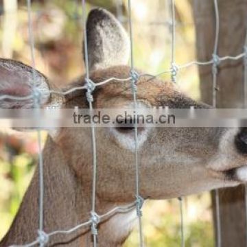 horse farm fencing /animal fencing