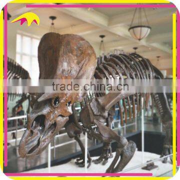 KANO5210 Life-Size Jurassic Fiberglass Dino Bone For Display