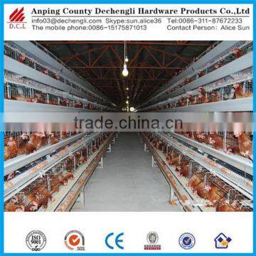 types of layer chicken cages for zimbabwe poultry