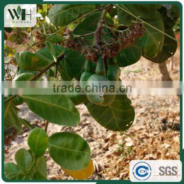 Cambodia Jute Bag RCN photo-5