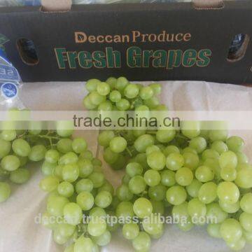 seedless Grapes