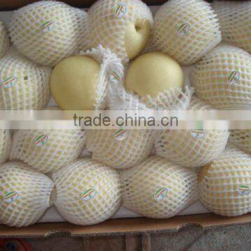 Crown Pear / Golden Pear photo-2