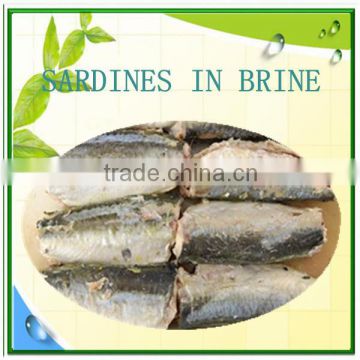 wholesale sardines in brine