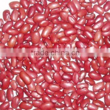 Chinese Red Bean