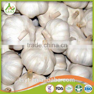 4cm 5cm 5.5cm 6cm Normal White Pure White Fresh Garlic