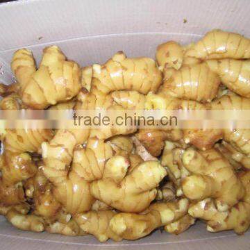 2015 new crop fresh ginger, air dry fresh ginger, chinese fresh ginger price