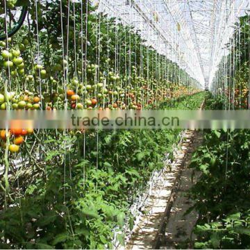 Jute Twine For Tomato Green House