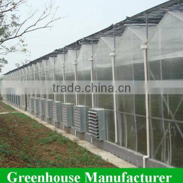 Customized High Quality Polycarbonate Sheet Agricultural Greenhouses photo-2