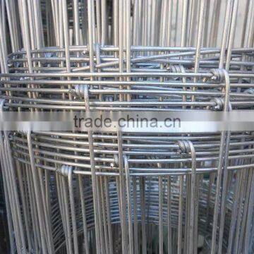 galvanized hinge joint field fence(cattle fence, grassland fence) best price/ high tensile woven cattle fence factory