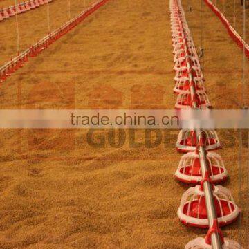 poultry farm feeding equipment