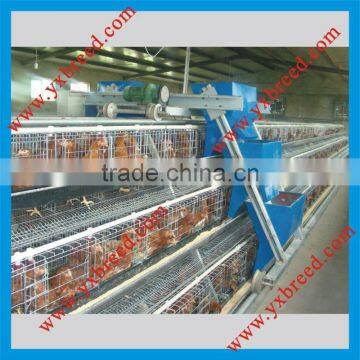 Chicken feed equipment battery cage