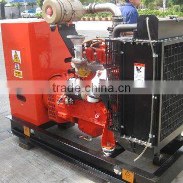 Camda Factory Biogas Generator Sets With/without Canopy 250kw Biogas Generator photo-5