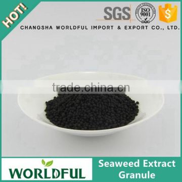 Factory price 100% natural seaweed extract granular fertilizer application fruit tree