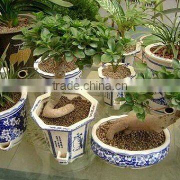 vertical gardening containers with clay soil