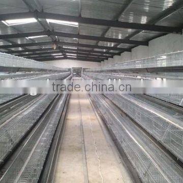 high quality broiler cage hot sale