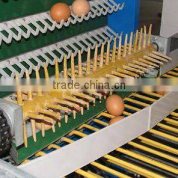 automatic machine to collect egg
