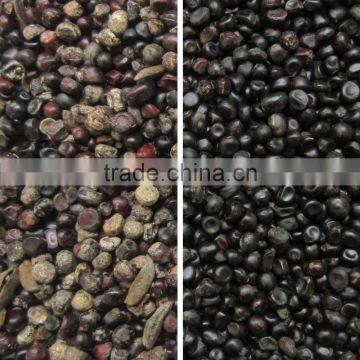 Agricultural Machines Advanced Seed CCD Color Sorting Machine photo-5