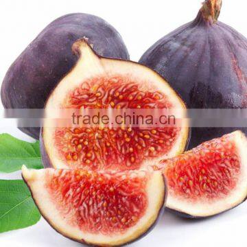 Fig Multiple Layer Continuous Type Mesh Belt Dryer photo-5