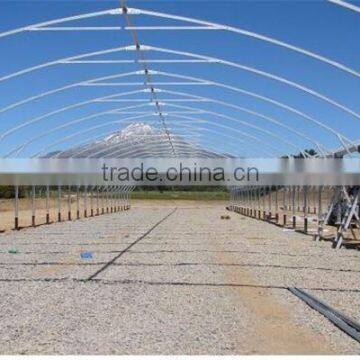 Multi-Span Greenhouse With Roll Up Motor For Ventilation Used For Animals Growing photo-5