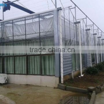 Multi-span Glass Covered Greenhouse Used For Vegetable From China