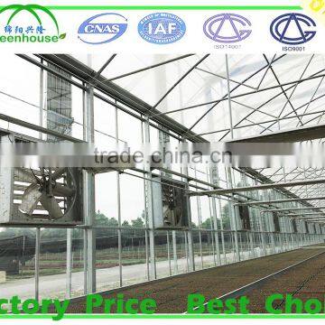 Agricultural Glass Greenhouse for Sale photo-2