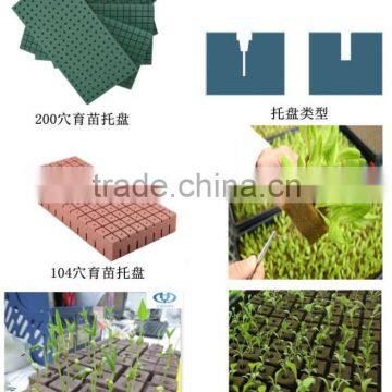 the Application of Floral Foam in Agriculture& Plant Cultivation photo-3