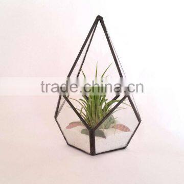 Kure Beach Sea Shells Black Metal Pyramid Ionantha Air Plant Glass Terrarium photo-2