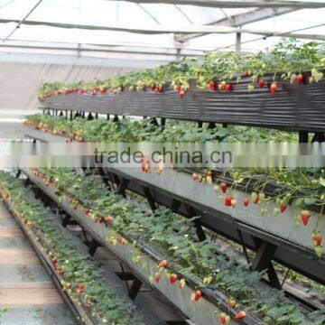 Wholesale Multi-span Low Cost Agricultural Greenhouse photo-2