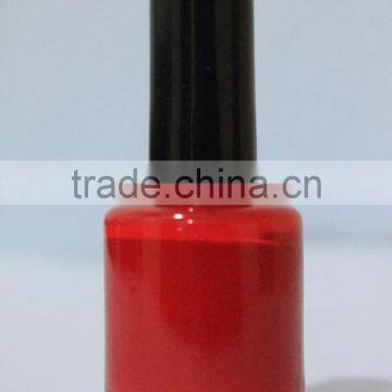 READY STOCK Nail Polish Bottle ,Cap,Brush Sets India photo-3