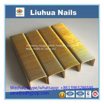 Gold colored staples for furniture hardware fitting