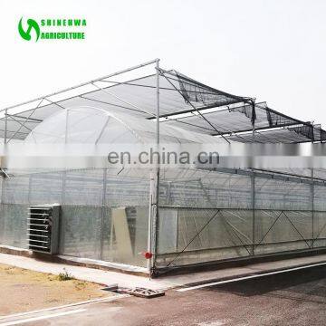 Cheap Chinese Tunnel Plastic Film Agriculture Greenhouse
