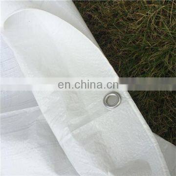 Low MOQ PE Tarpaulin for tent car cover