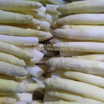 IQF White asparagus spears