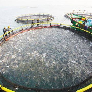 Floating Fish Cage Floating Aquaculture Fishing Cage Sea Cage Fish Farming