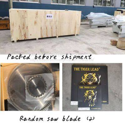 Woodworking Saw Precision Panel Saw photo-5