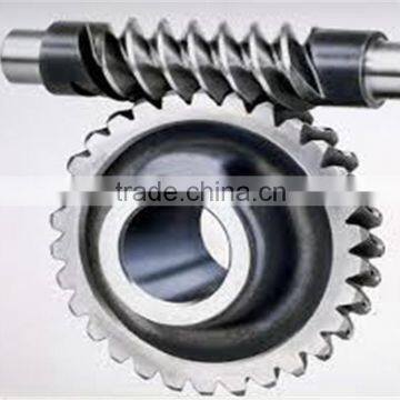 OEM Worm Gear and Worm for Worm Reducer