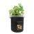 2021 New Arrival Heavy Duty Portable Round Flower Pot Non Woven Tree Planting Bag photo-4