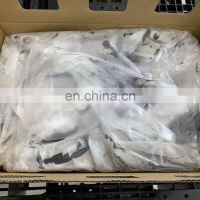 Raw Frozen Pacific Mackerel Fish Whole Round for Export photo-5