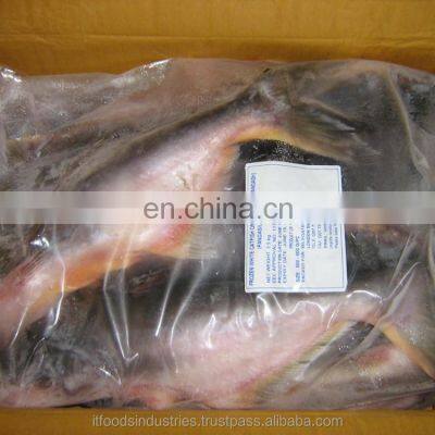 Frozen Pangasius (Pangasius Hypophthalmus) photo-4