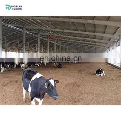 Prefabricated Steel Structure Building Design Cow Farm Shed