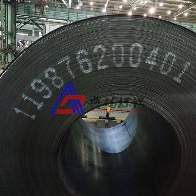 Steel Large Character Inkjet Printer