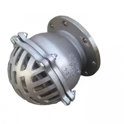 ANSI Bottom Foot Valve 4in 150lb Cast Steel Cast Iron Ductile Iron GGG40 GGG50 Lift Strainer Flange Fitting With 304 Screen photo-3