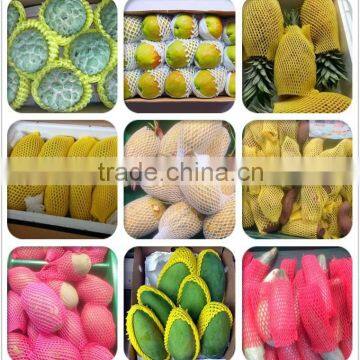 China Professional Manufacturer Apple/Peach Packing Protective EPE Foam Plastic Tubular Netting