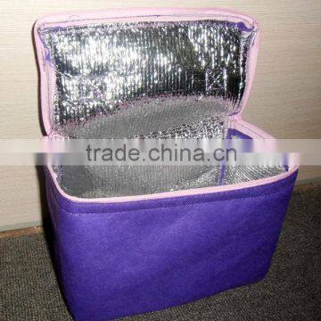 promotional non woven pinic cooler bag