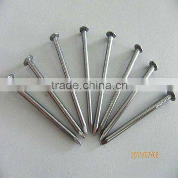 1"-7"common polished nails (factory)