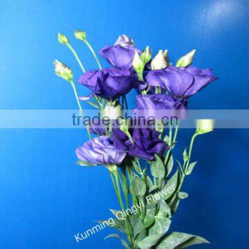 Supply High Quality Fresh Cut Flowers Purple Eustoma